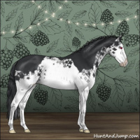 Horse Color:Black Chinchilla Splash 