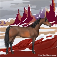 Horse Color:Bay Roan 