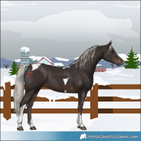 Horse Color:Silver Brown Tobiano Rabicano 