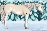 Horse Color:Silver Classic Champagne Dun Splash Frame 