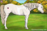 Horse Color:Smoky Creme Dun Tobiano 