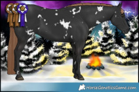 Horse Color:White Spotted Liver Chestnut 
