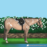 Horse Color:White Spotted Sable Champagne 