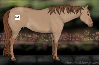 Horse Color:Red Dun Rabicano 