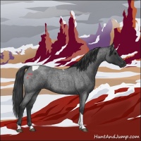 Horse Color:Blue Roan Tobiano Rabicano