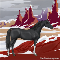 Horse Color:Black Tobiano