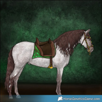 Horse Color:White Spotted Chocolate Blue Roan 