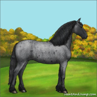 Horse Color:Blue Roan 