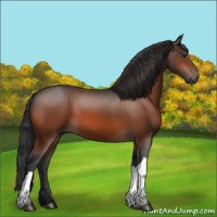 Horse Color:Brown 