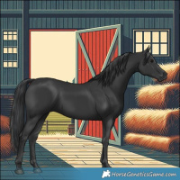 Horse Color:Black 