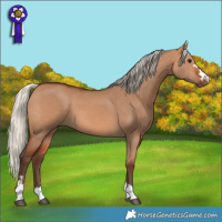 Horse Color:Silver Bay Dun