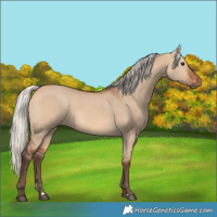 Horse Color:Silver Bay Dun 