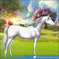 Horse Color:Gray Silver Sable Cream Champagne Splash Tobiano Rabicano 