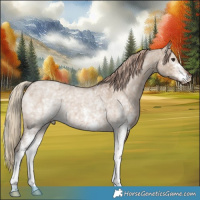 Horse Color:White Spotted Liver Red Dun Roan