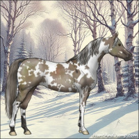 Horse Color:White Spotted Liver Red Dun Mushroom 