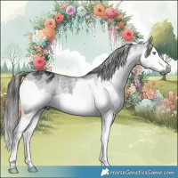 Horse Color:Gray White Spotted Liver Chestnut Splash Varnish