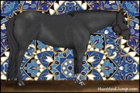 Horse Color:Black and Black