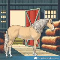 Horse Color:Palomino 