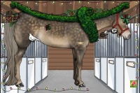 Horse Color:Chocolate Palomino 