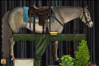 Horse Color:Chocolate Palomino 