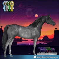 Horse Color:Black 