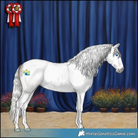 Horse Color:Gray Silver Bay Splash Tobiano Rabicano 