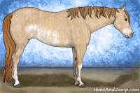 Horse Color:Red Dun  and Red Dun Frame 