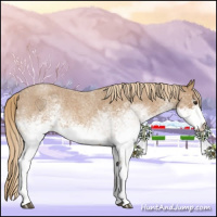 Horse Color:White Spotted Red Roan 
