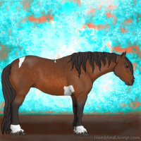 Horse Color:Buckskin Tobiano 