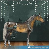 Horse Color:White Spotted Silver Buckskin Tobiano 