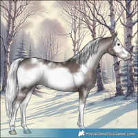 Horse Color:Platinum White Spotted Liver Red Onyx Mushroom Frame 