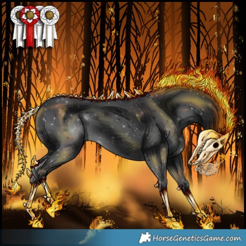 Horse Color:Black 