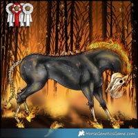 Horse Color:Black 