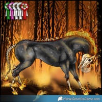 Horse Color:Black 