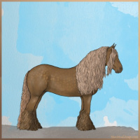 Horse Color:Chocolate Palomino 
