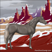 Horse Color:Silver Black 