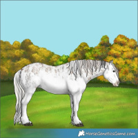 Horse Color:Grullo Sabino Splash  and Silver Grullo Sabino Splash 
