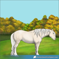 Horse Color:Silver Smoky Black Pearl 