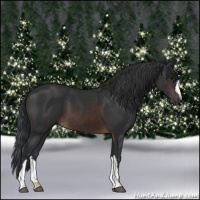 Horse Color:Brown 