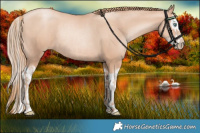 Horse Color:Gold Champagne Pearl Rabicano  and Gold Champagne Pearl Splash Rabicano 