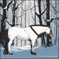 Horse Color:Brown Appaloosa 