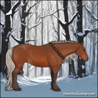 Horse Color:Silver Bay 