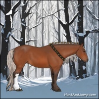 Horse Color:Silver Bay 