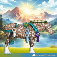 Horse Color:Gray Black Pearl Appaloosa