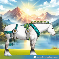 Horse Color:Gray Black Pearl Appaloosa