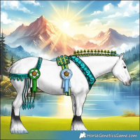 Horse Color:Gray Black Tobiano Appaloosa