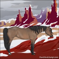 Horse Color:Brown Dun 