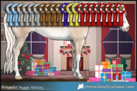 Horse Color:Cremello 