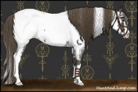 Horse Color:Black Sabino Splash Near Leopard  and Smoky Blue Roan Splash Near Fewspot 