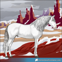 Horse Color:Brown Roan Dun Mushroom Appaloosa